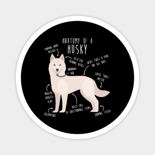 White Siberian Husky Dog Anatomy Magnet